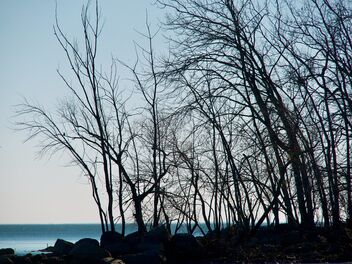 Beach Walk - Free image #494801
